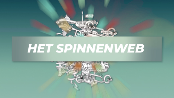 Het spinnenweb - veter strikken