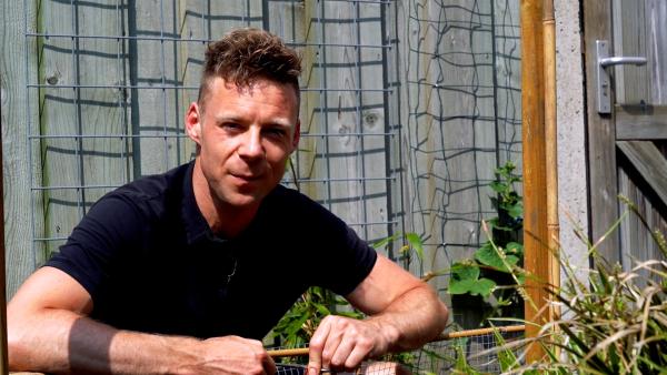 `Stap 1 - De sterkste zonnebloem kiezen