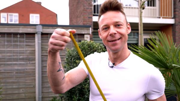 Tip 1 - Zonnebloem meten