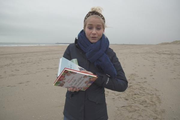 lezen