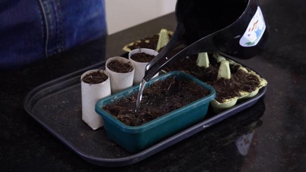 Water geven - Stap 1 - Moestuin maken