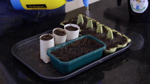 tip - moestuin maken - water geven