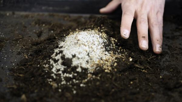 Zaadbom maken - Stap 2 - Moestuin