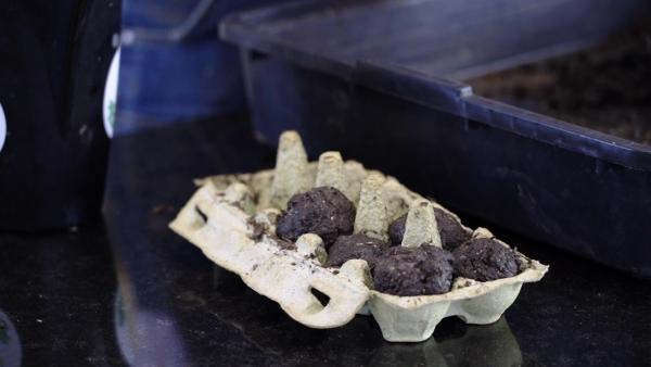 Zaadbom maken - Stap 3 - Moestuin maken