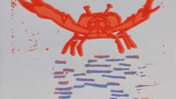 Lily Fleuren 9 jaar krab