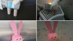 Dierenlampions